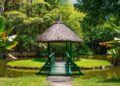 Pamplemousses Botanical Garden, in Mauritius