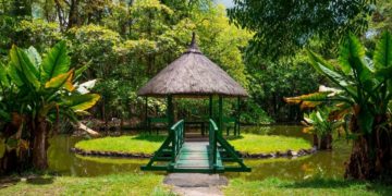 Pamplemousses Botanical Garden, in Mauritius