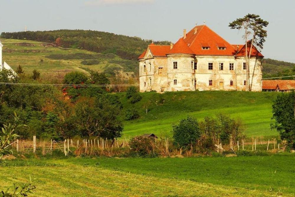 Pekri Radak Castle