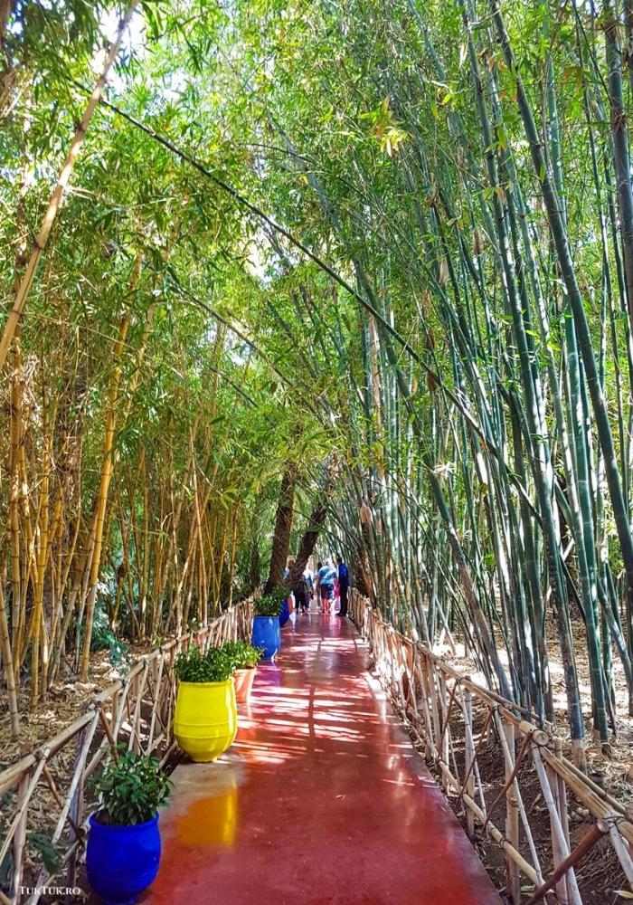 Majorelle Gardens