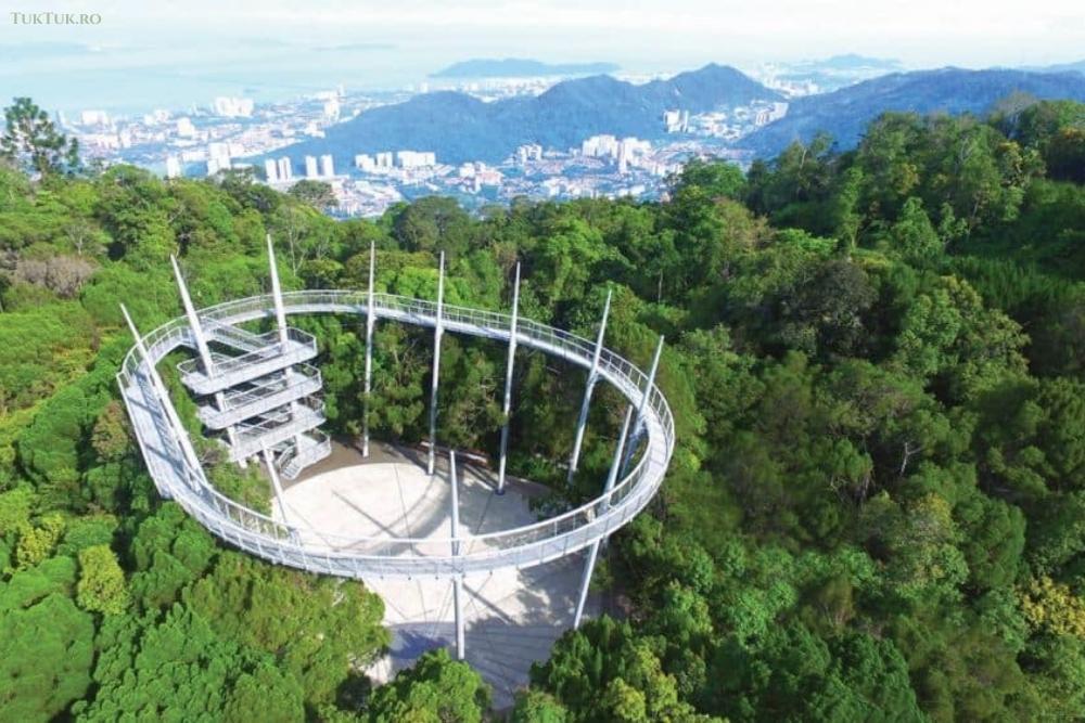 The Habitat Tree Top Walk