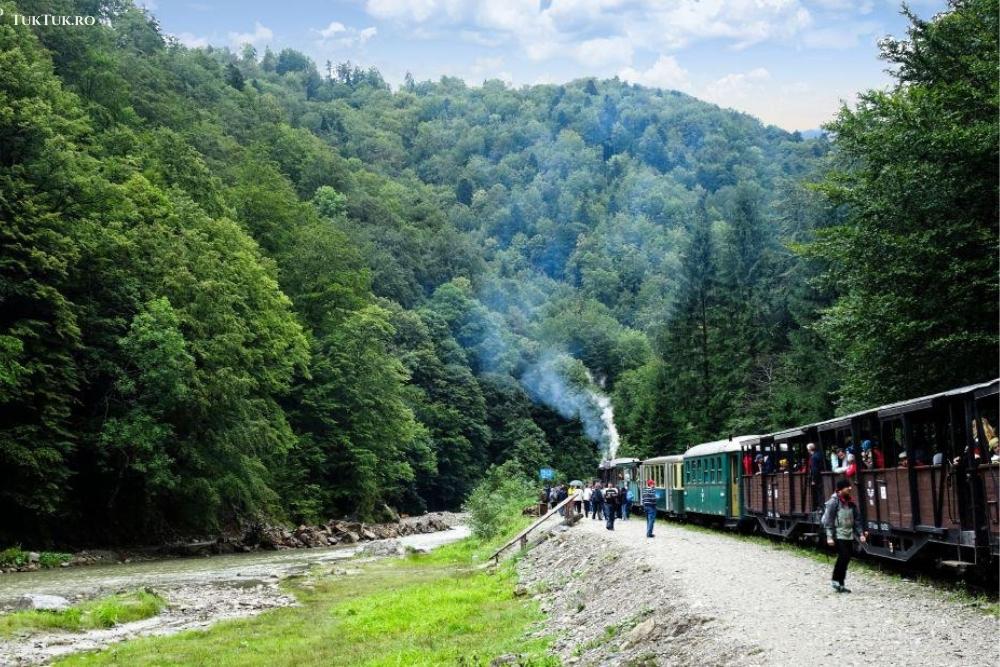 mocanita steam train maramures