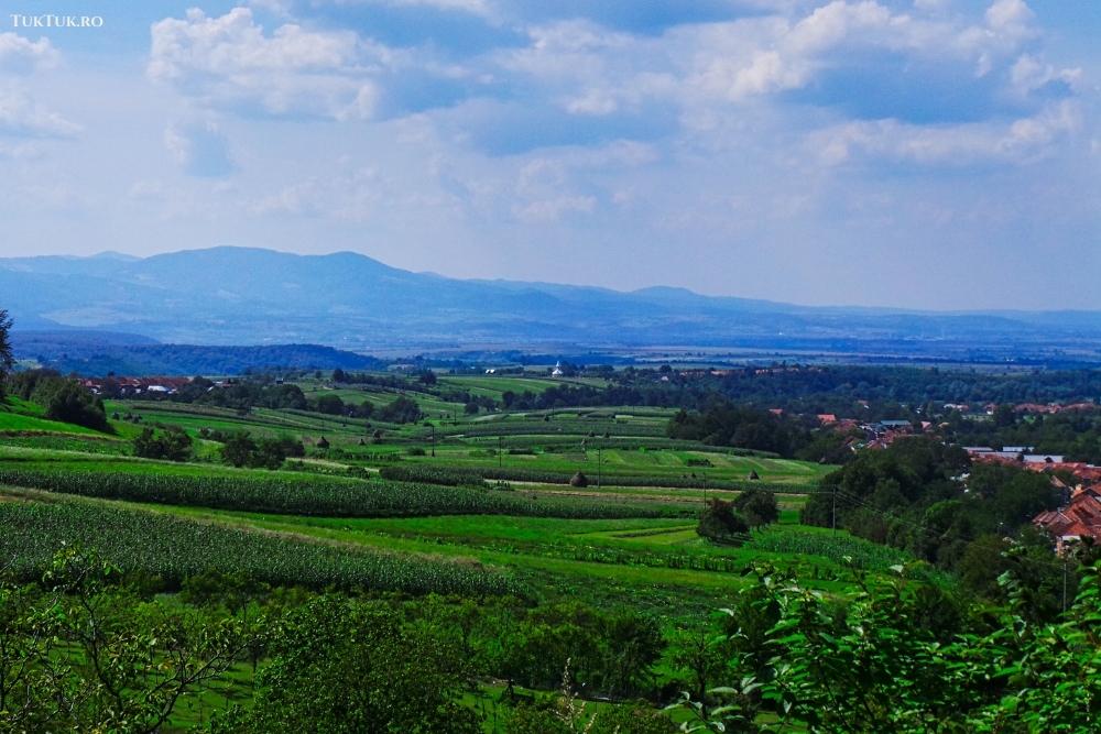 Apuseni landscape