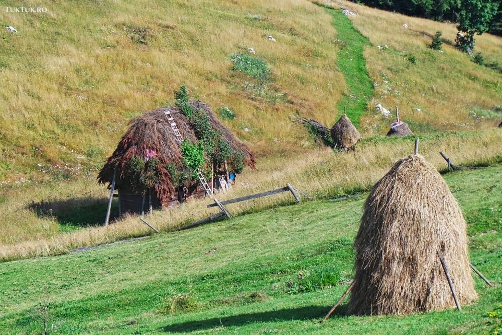 Rural landscape in the Apuseni region