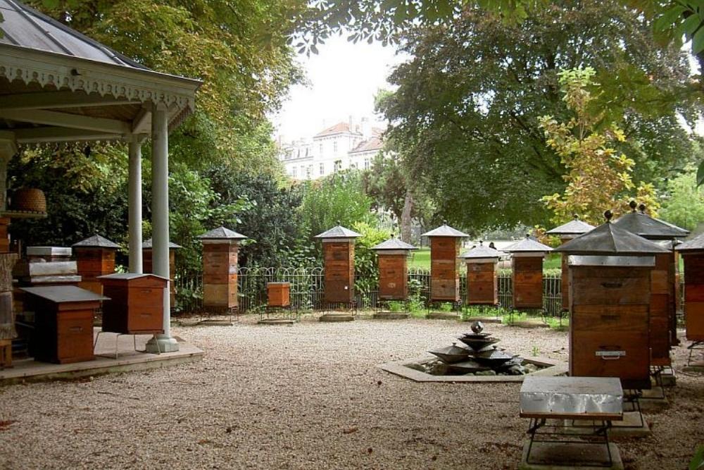 Beehives in Jardins de Luxembourg