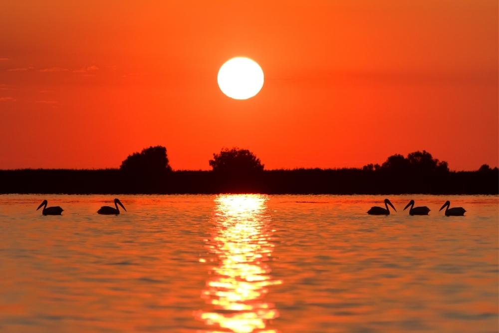 danube delta sunrise