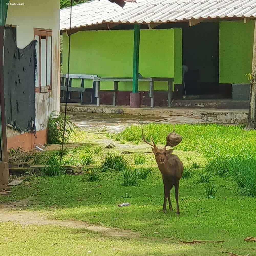 koh chang