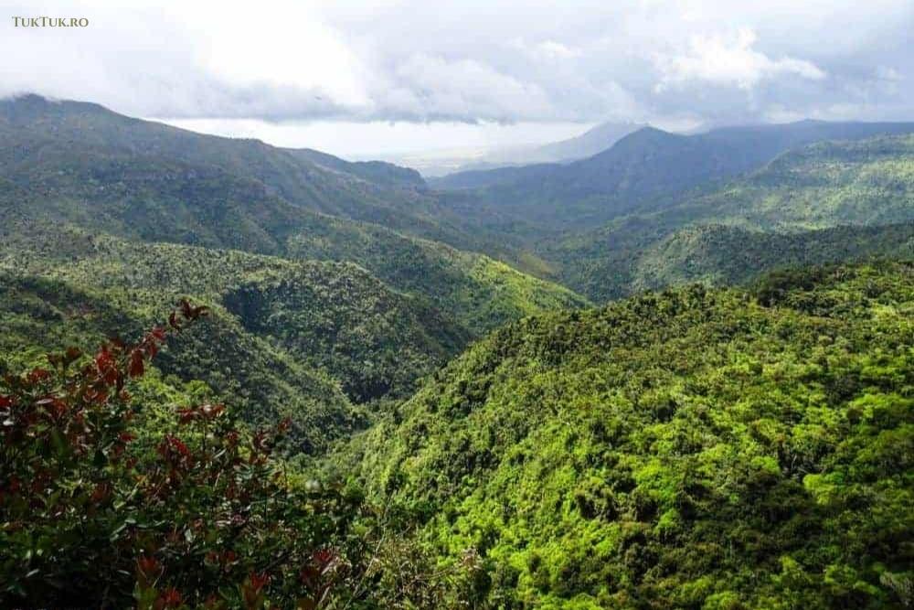 Black River Gorges