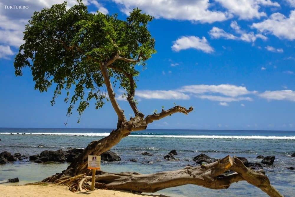 mauritius beach