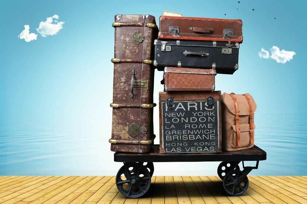 cruise luggages