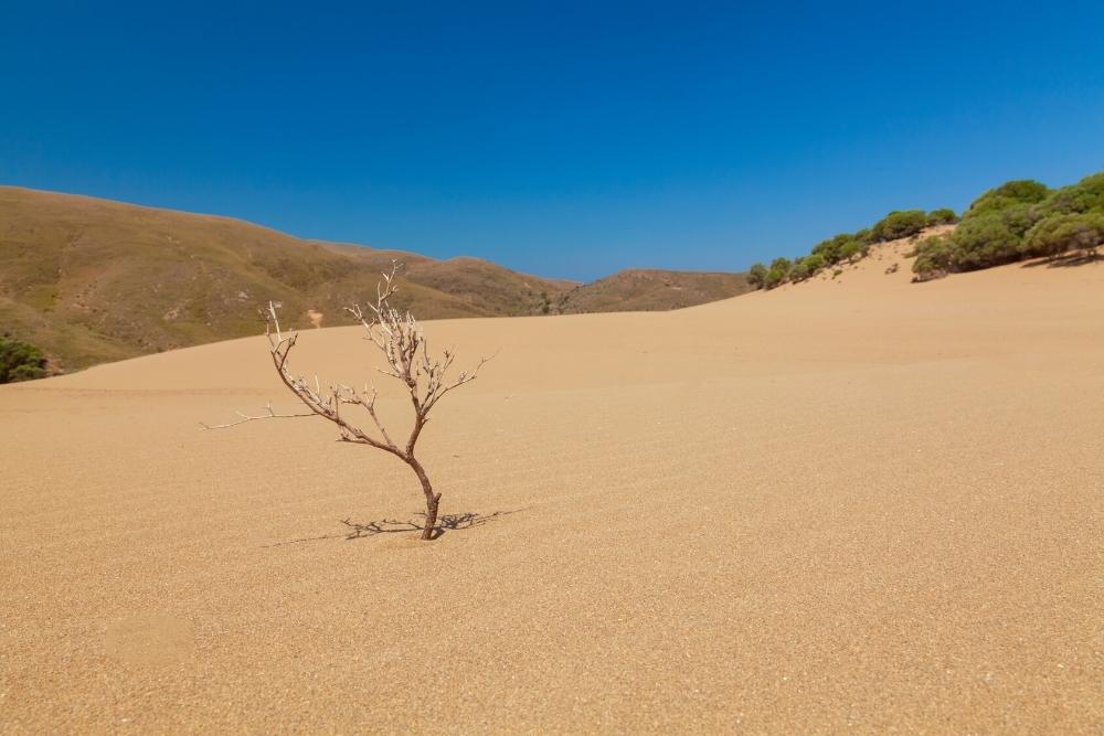 dunes of Lemnos