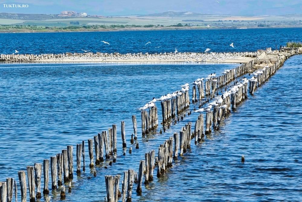 Salt Museum in Pomorie