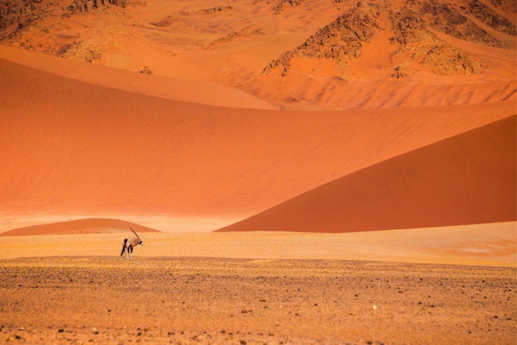 Sossusvlei