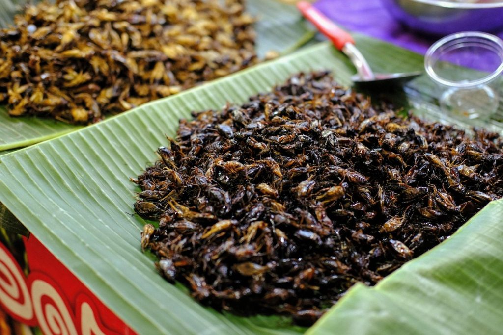 insects thai market