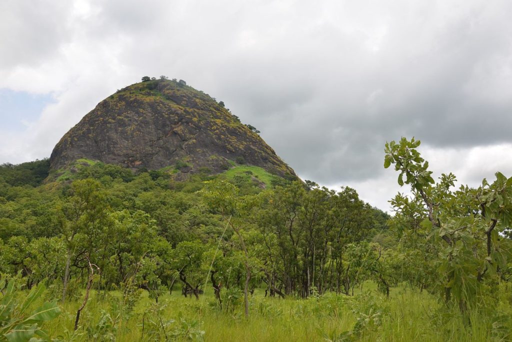 Fazao-Malfakassa National Park