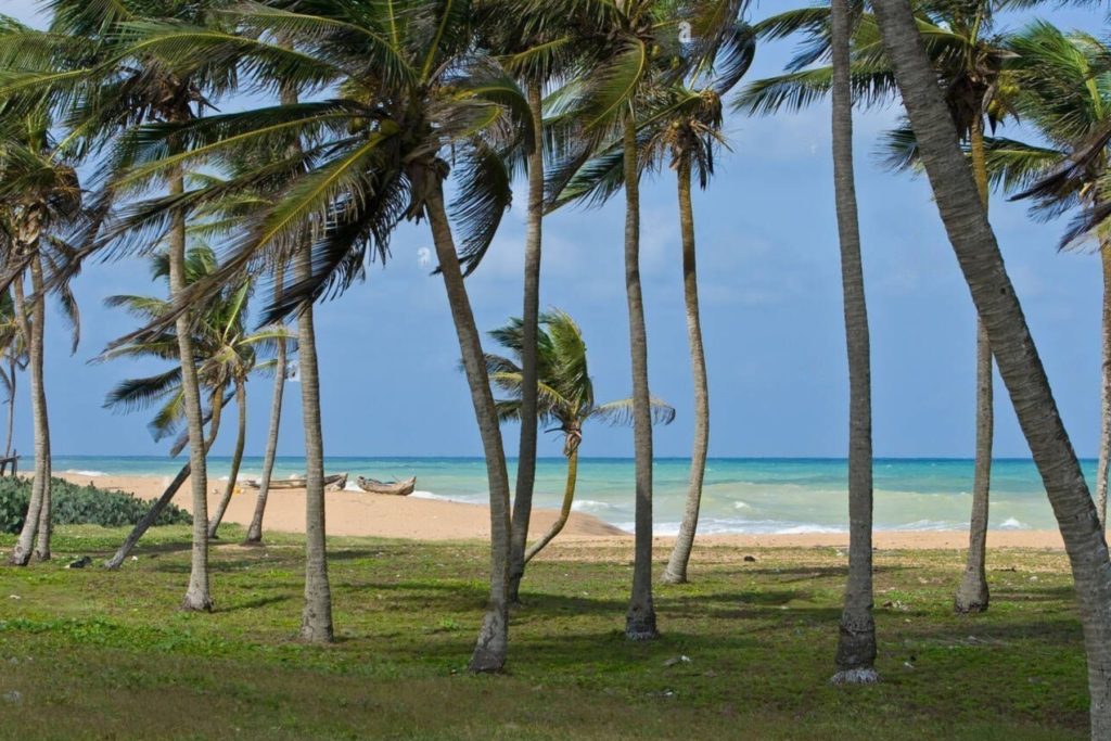 Togo coastline 