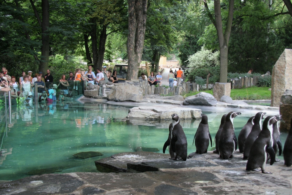 Prague Zoo