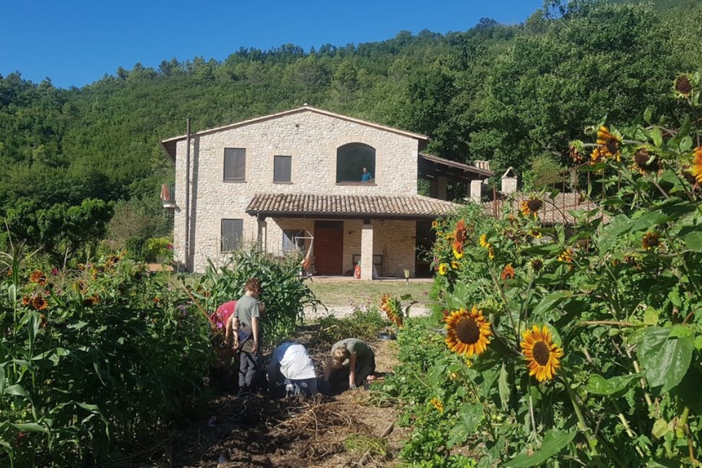 Agriturismo Il Piano umbria