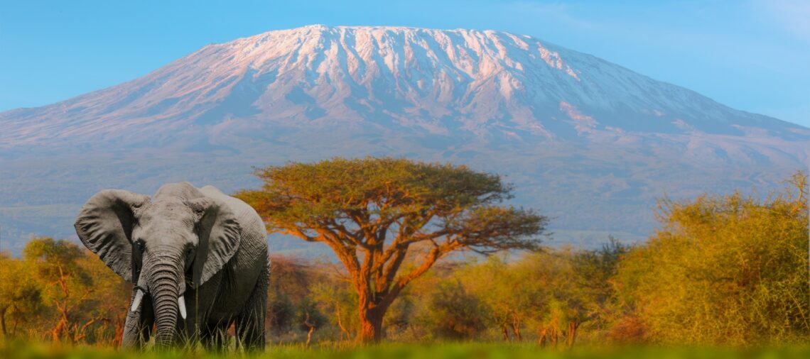 climbing kilimanjaro