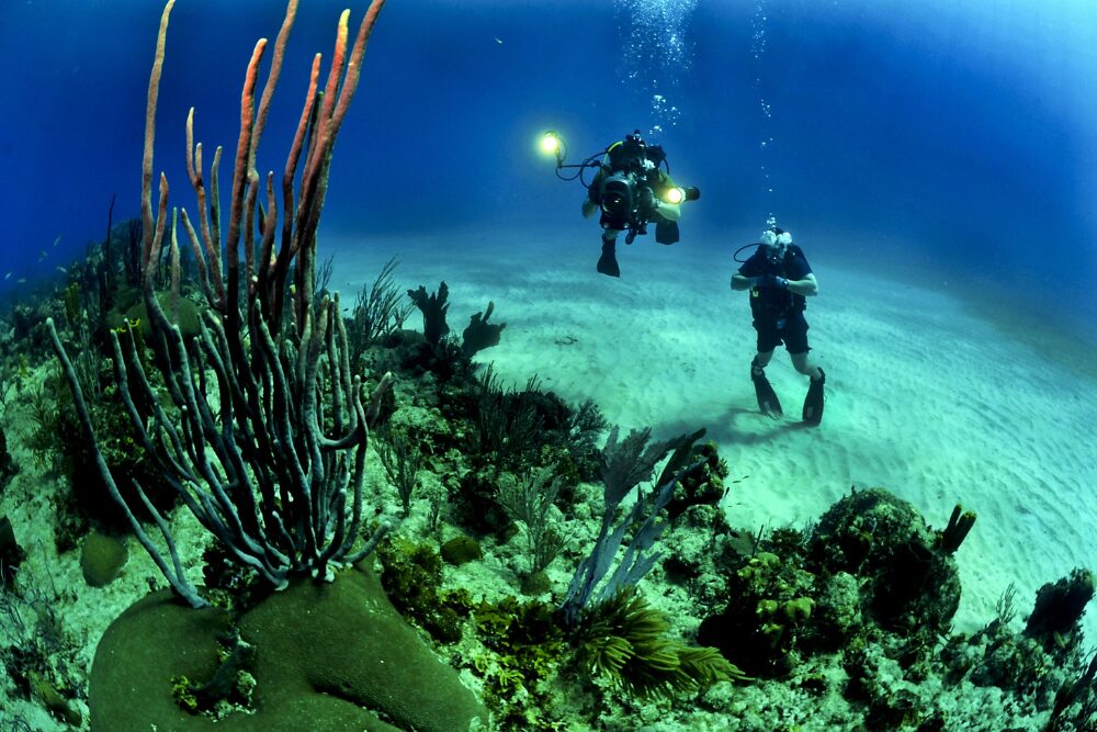 Cape Verde: An Underwater Paradise