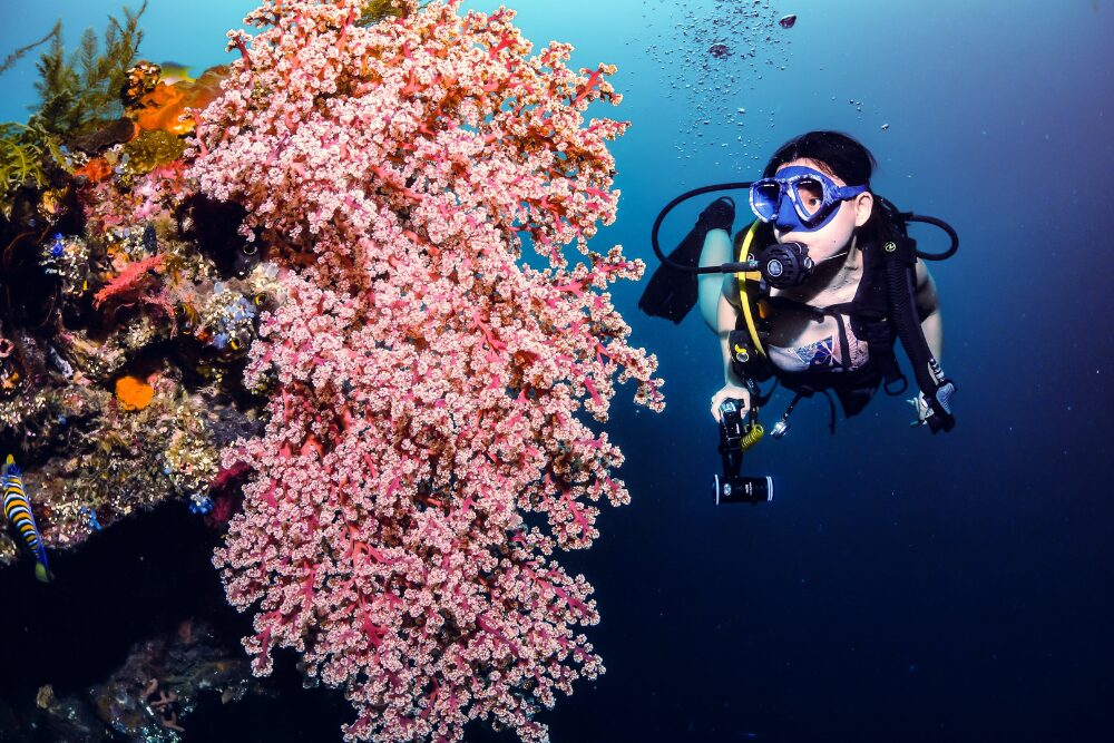 Exploring Cape Verde's Coral Reefs