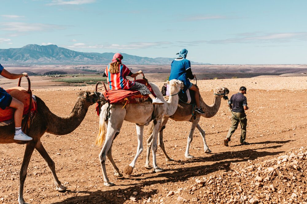 Exploring the Adrar Region