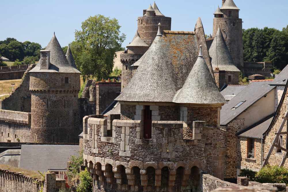 The 'Chateau de Fougeres' castle.