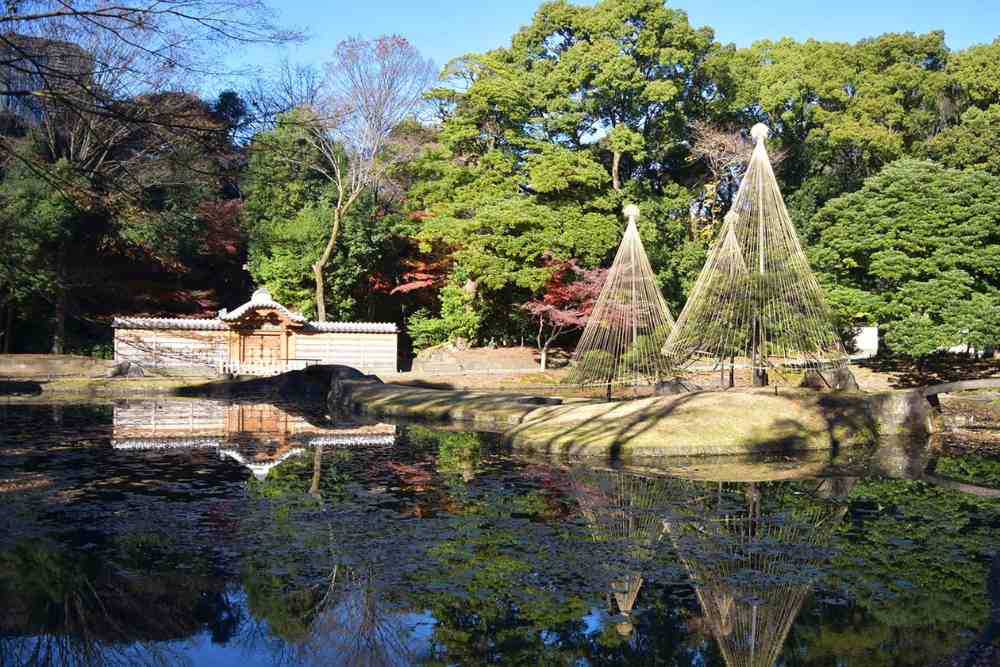 Spots for Cherry Blossom Viewing in Tokyo