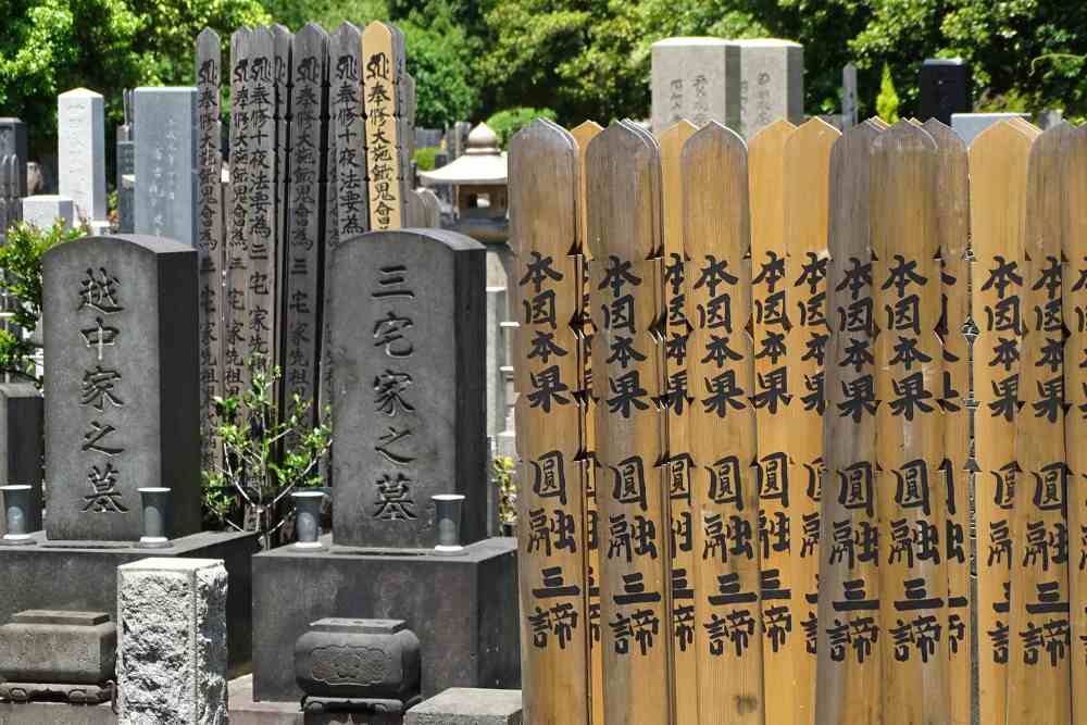 Spots for Cherry Blossom Viewing in Tokyo