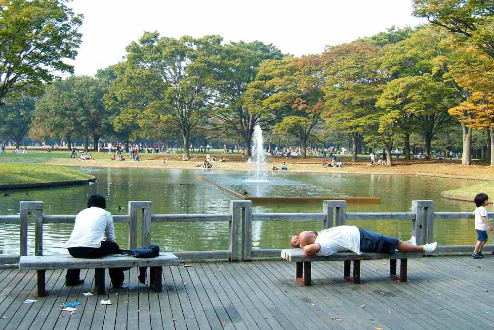 Spots for Cherry Blossom Viewing in Tokyo