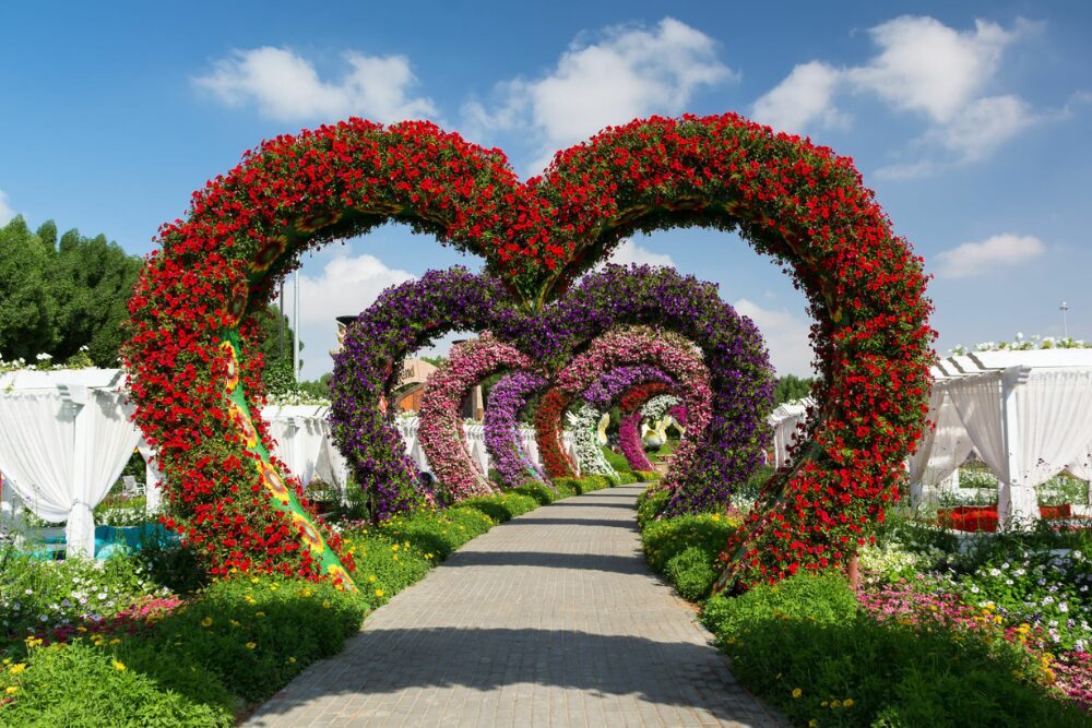 Opening Hours and Location of Dubai Miracle Garden