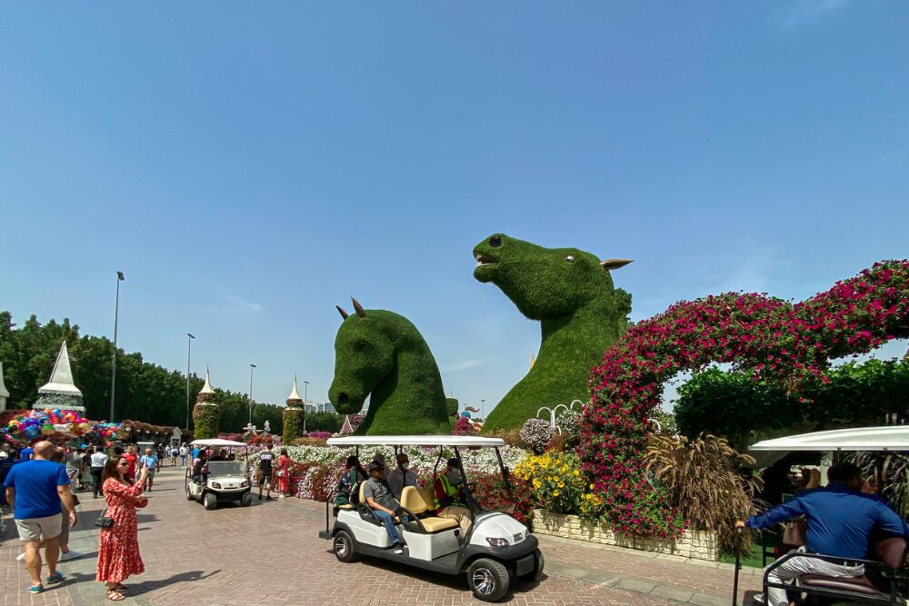 Transportation Options to Miracle Dubai Garden