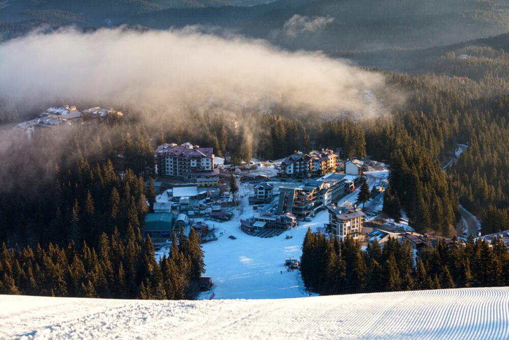 Culinary Delights and Local Specialties in Pamporovo