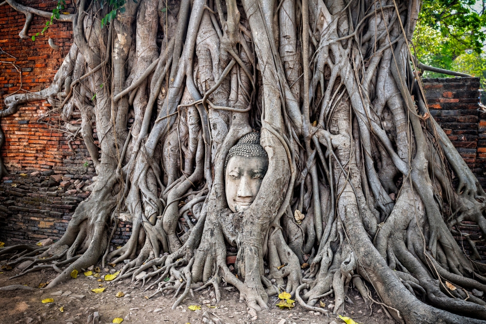 Ayutthaya Historical Park, Ayutthaya,