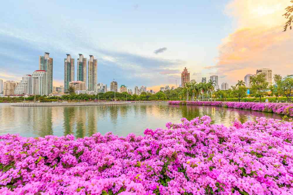 Benjasiri Park, Bangkok