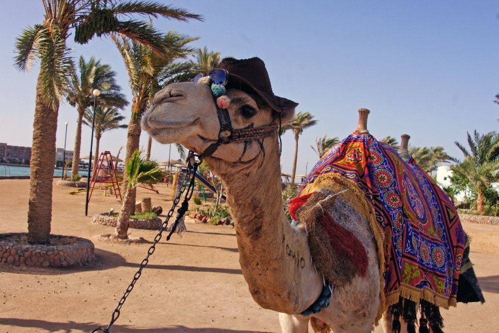 Five interesting things about Hurghada