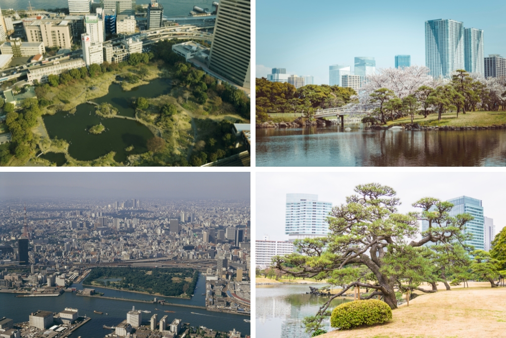 Hama-rikyu Gardens tokyo