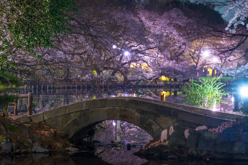 Inokashira Park