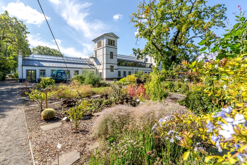 Leipzig Botanical Garden