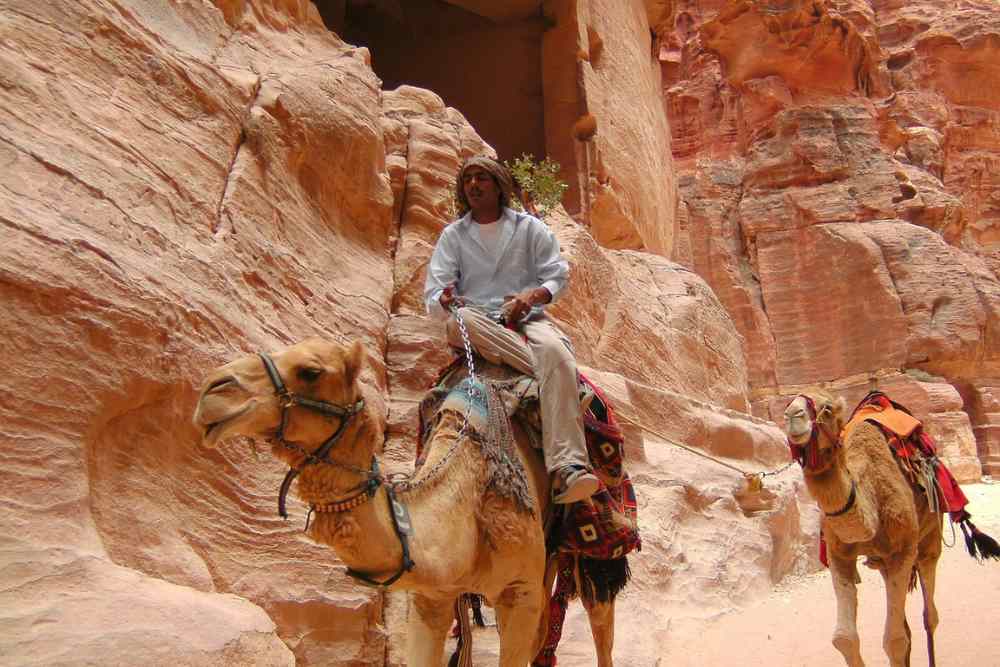 Petra, Jordan, Camel image