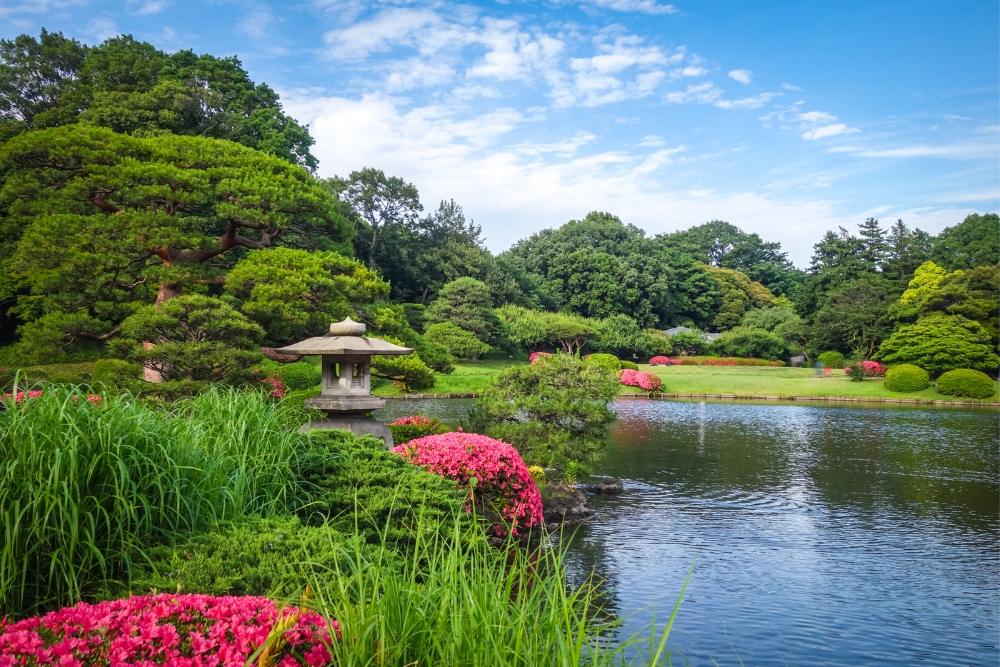 Shinjuku Gyoen National Garden