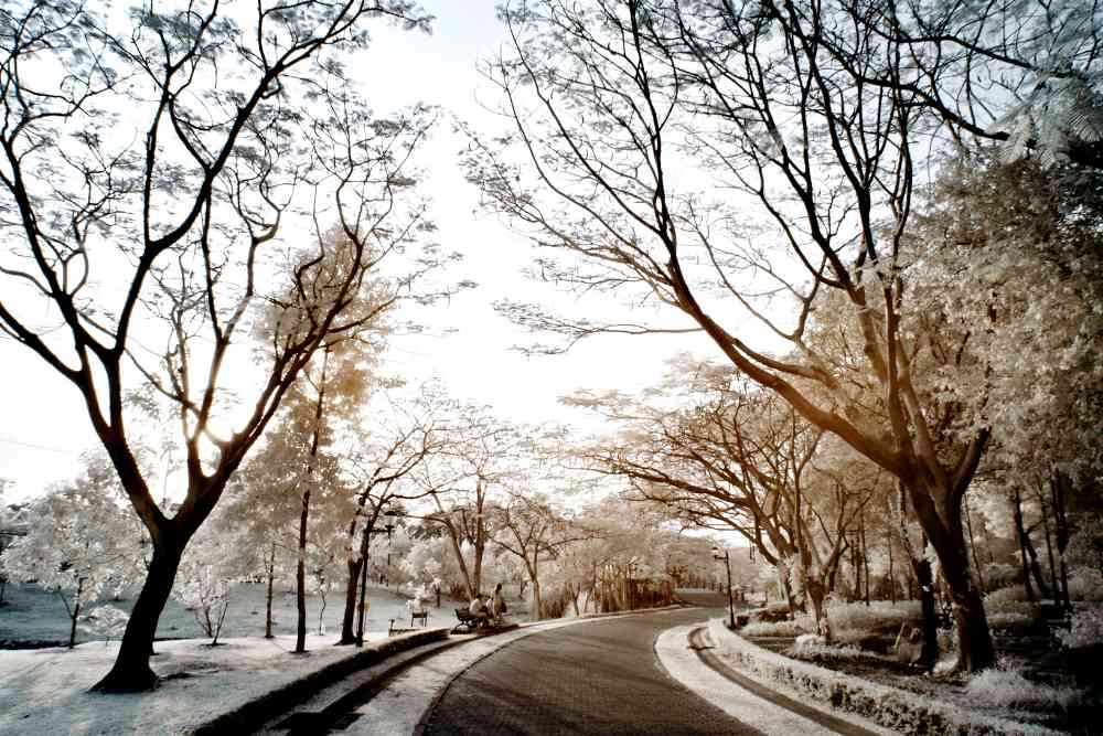 Suan Rot Fai Park, Bangkok