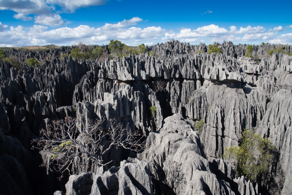 Tsingy de Bemaraha National Park