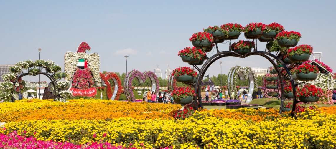 how to visit dubai miracle garden