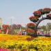 how to visit dubai miracle garden