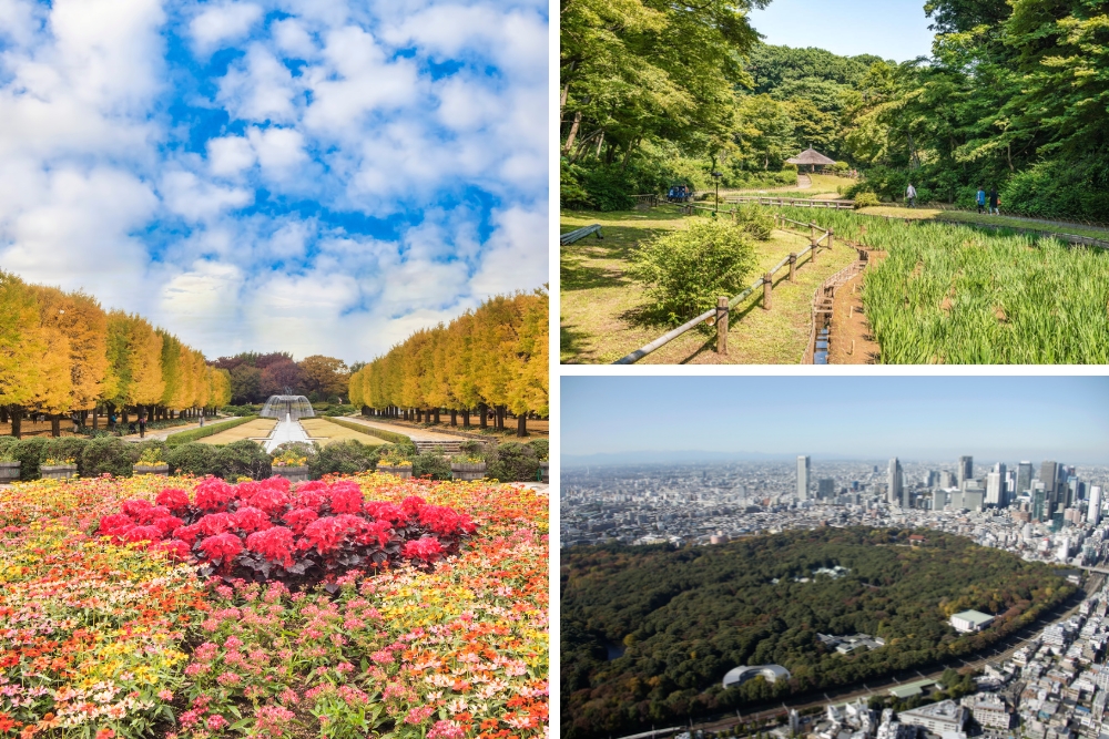 Yoyogi Park