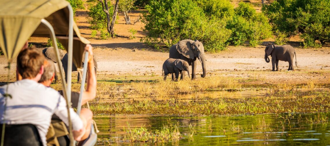 what not to do in a safari