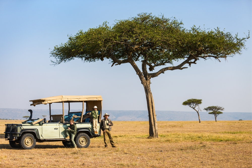 what not to do in a safari