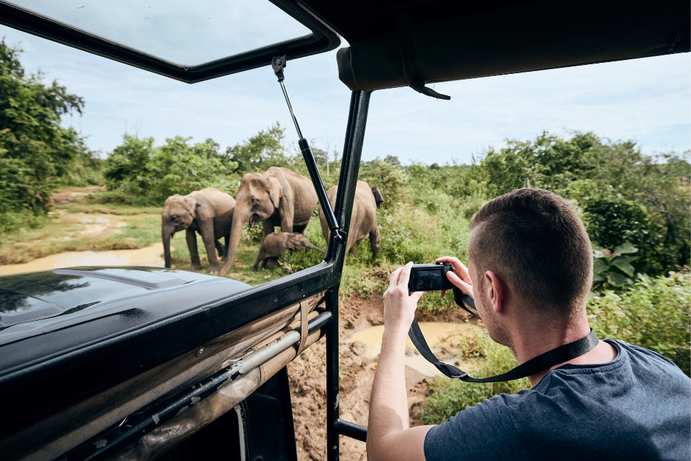 what not to do in a safari