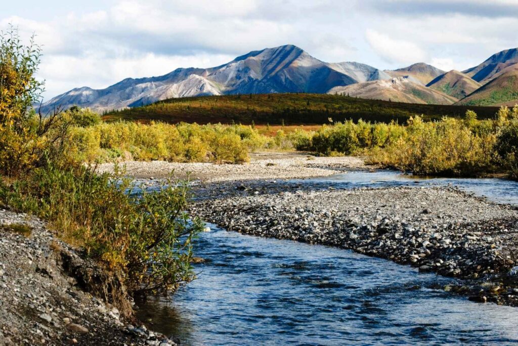 Denali National Park